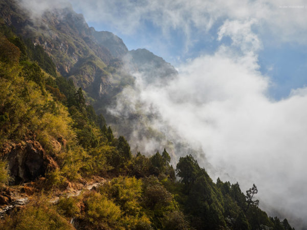 Лангтанг, Непал | Langtang, Nepal