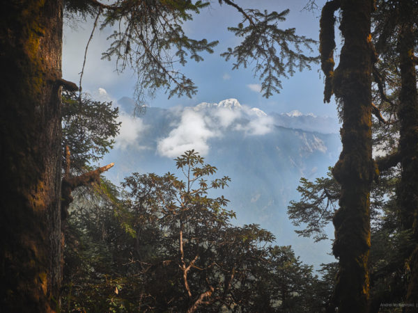 Лангтанг, Непал | Langtang, Nepal