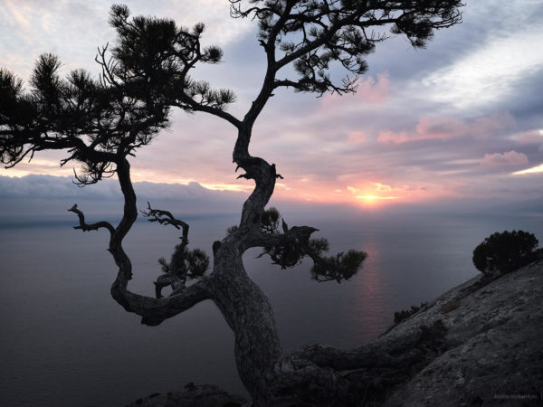 Крым | Crimea