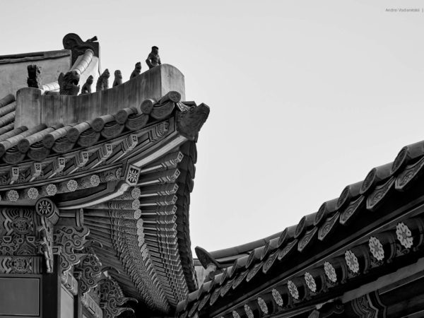Южная Корея | South Korea