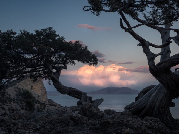 Крым | Crimea