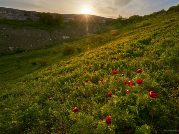 Крым | Crimea