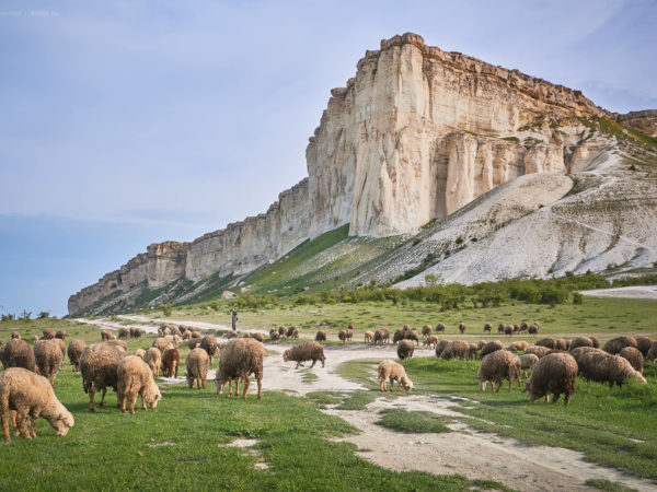 Крым | Crimea